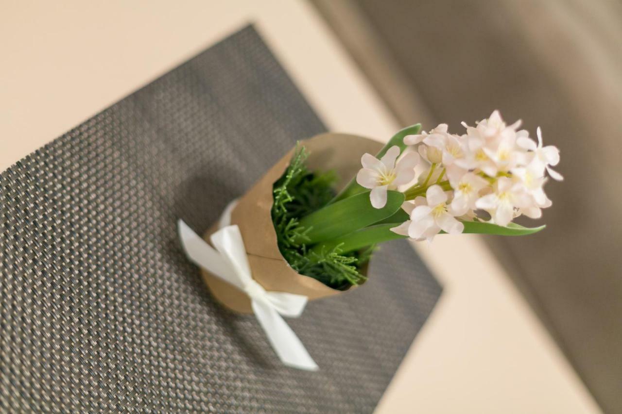 Apartment Dositejeva 13